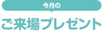 今月のご来場プレゼント